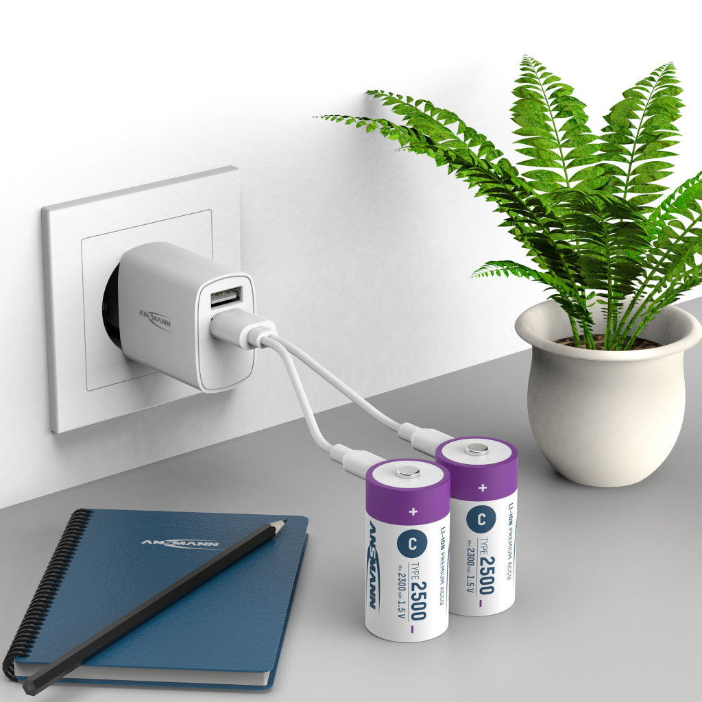 Ansmann Oplaadbaar Batterij C En Usb-C