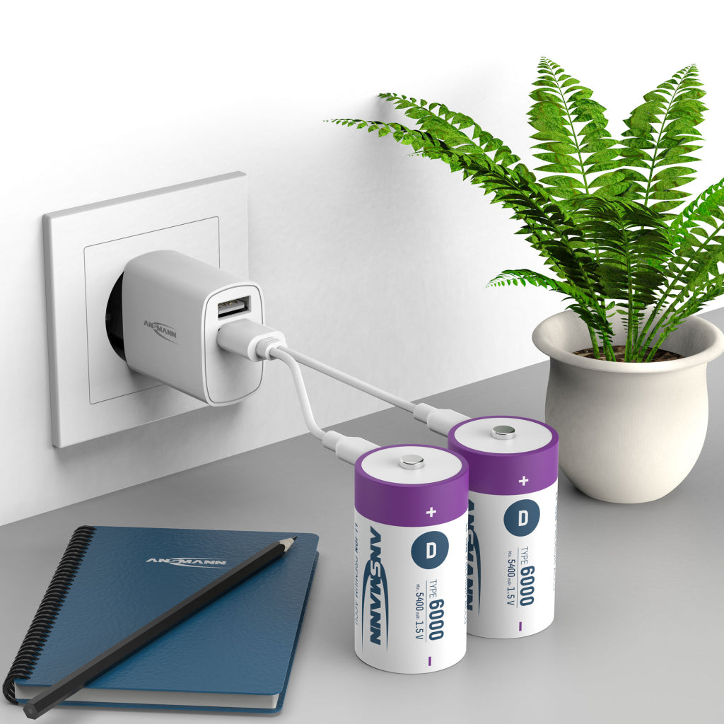 Ansmann Oplaadbaar Batterij D En Usb-C