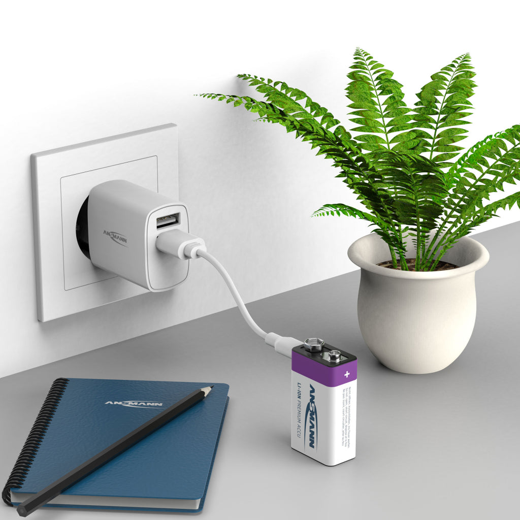 Ansmann Oplaadbaar Batterij 9-Voudig En Usb-C