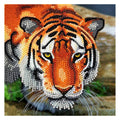 Craft Buddy Crystal Art Kaart Tijger 18X18 Cm