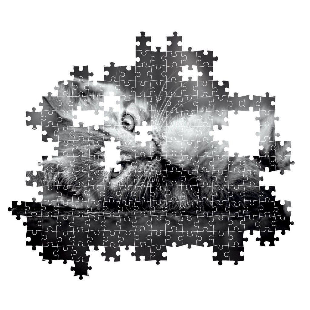 Clementoni High Quality Collection Puzzel Kitten 1000 Stukjes + Poster