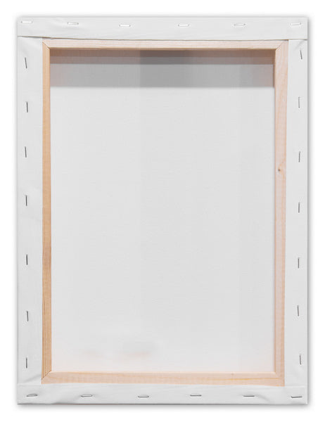 Kangaro K-820001 Schildersdoek 3D 30X40Cm 380Grams 100% Katoen. 3 X Lagen Gesso Primer, Met 8 Houten Wiggen