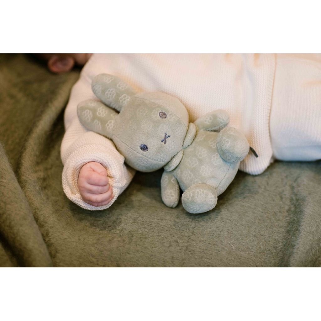 Nijntje Knuffel 20 Cm Groen